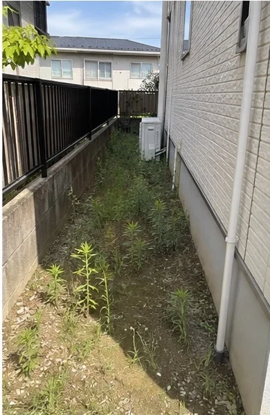 防草対策 作業前