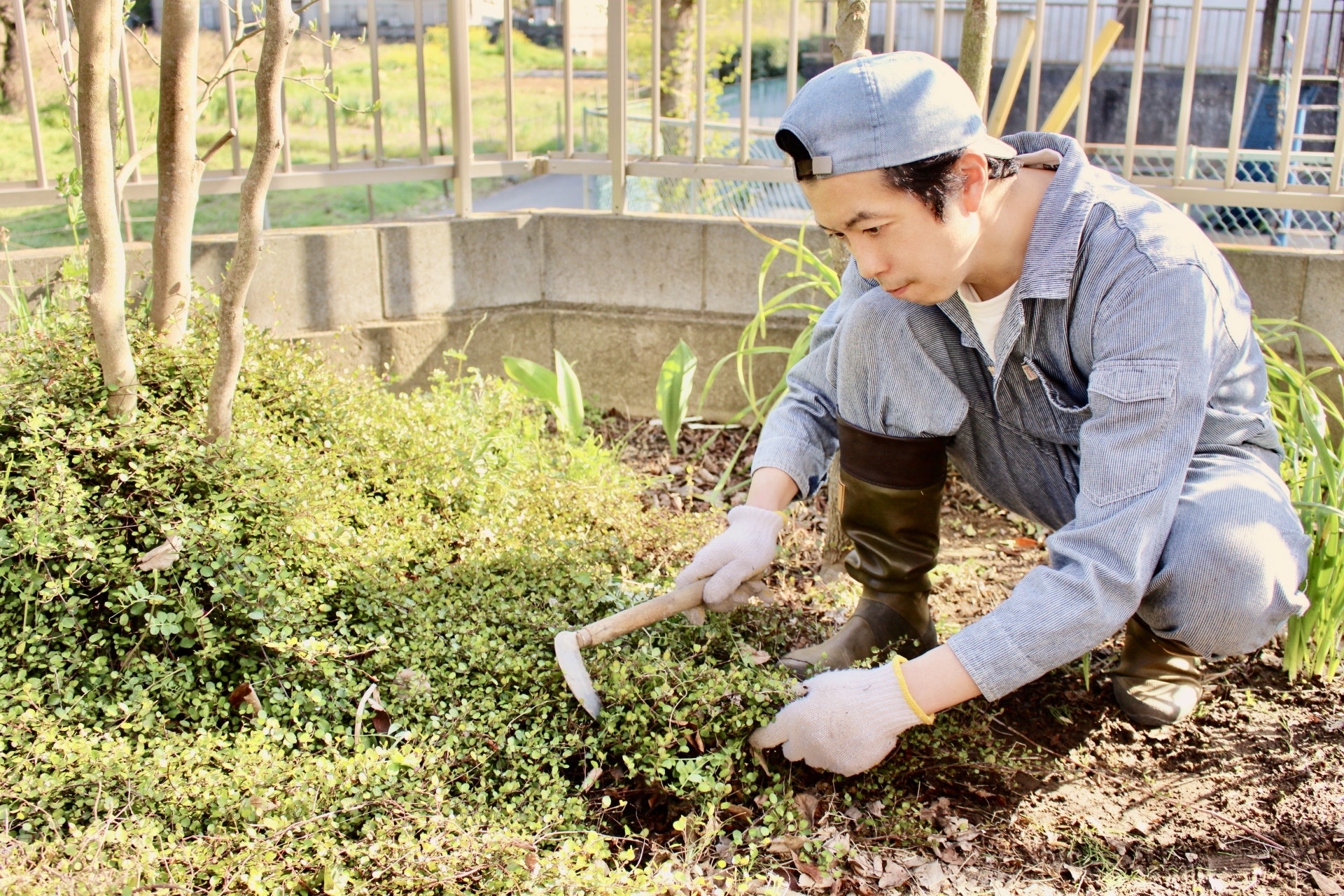 草刈り作業