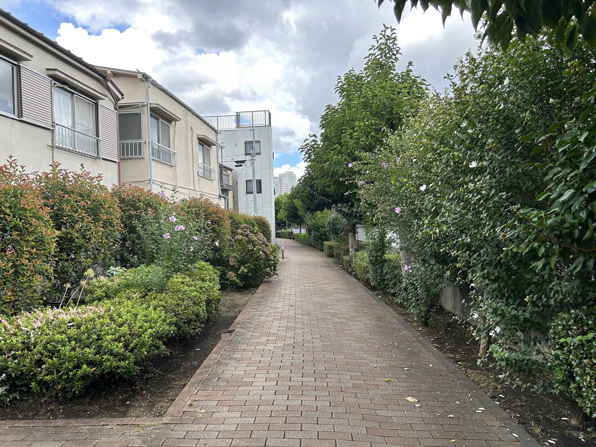 住宅密集地での伐採作業